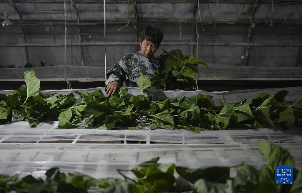 娱乐平台用户名登录